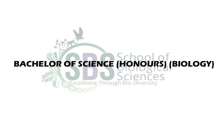 UNDERGRADUATE B.SC (SCIENCES)