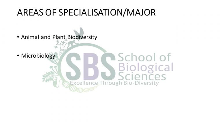 UNDERGRADUATE B.SC (SCIENCES)